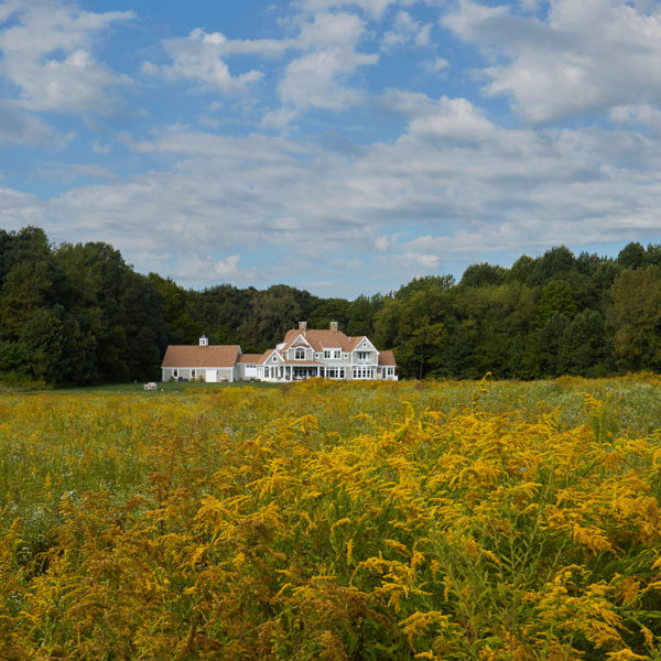 coastal-shingle-goldenrod-foreground-chesterton-indiana