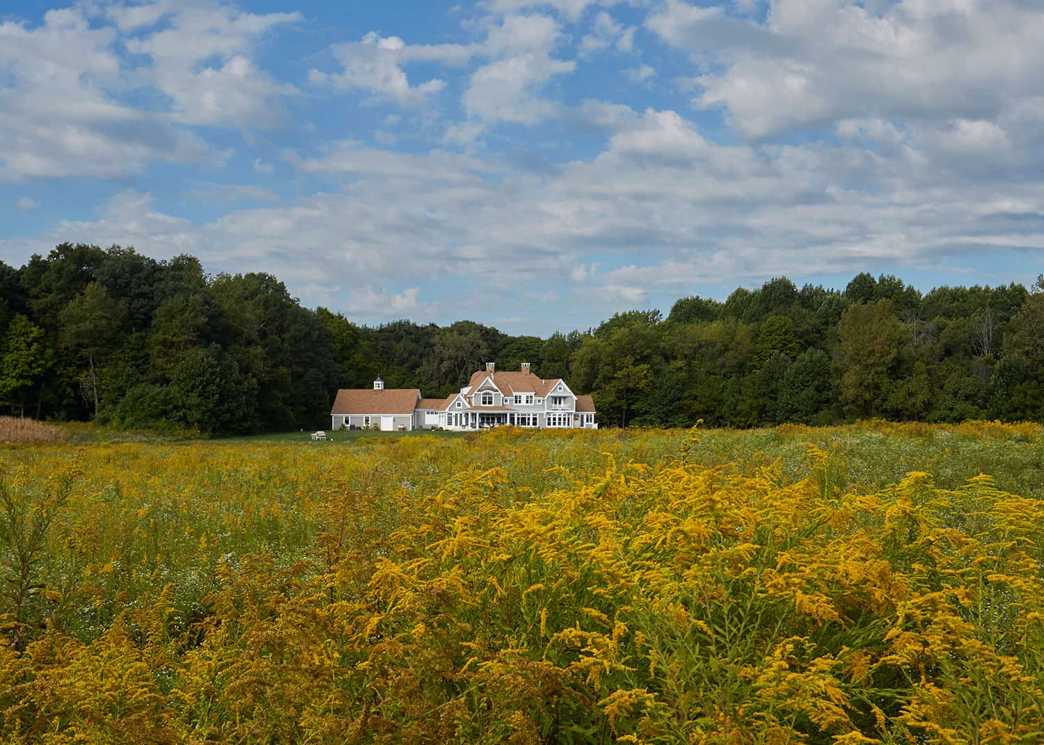 coastal-shingle-goldenrod-foreground-chesterton-indiana