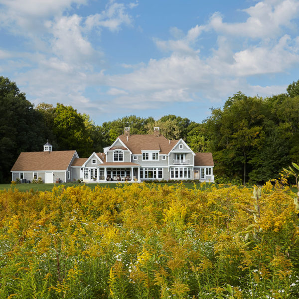goldenrod-frames-view-coastal-shingle