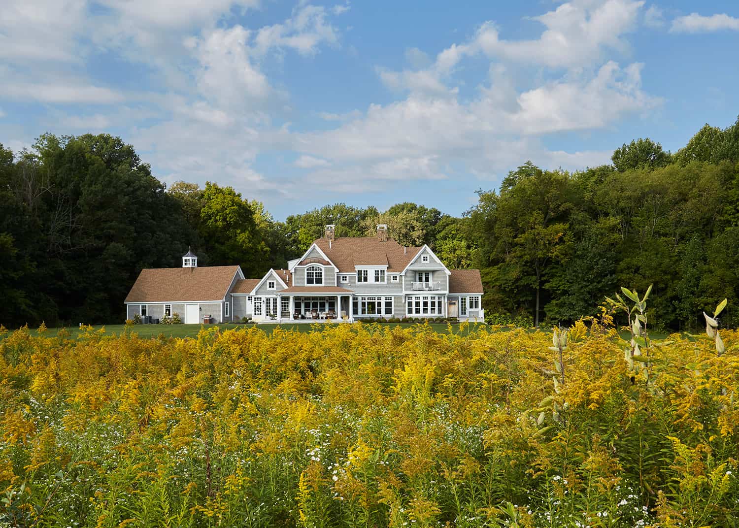 goldenrod-frames-view-coastal-shingle