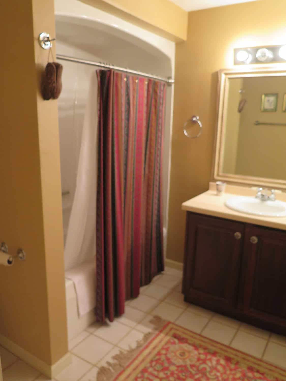 lower level shower with arched opening