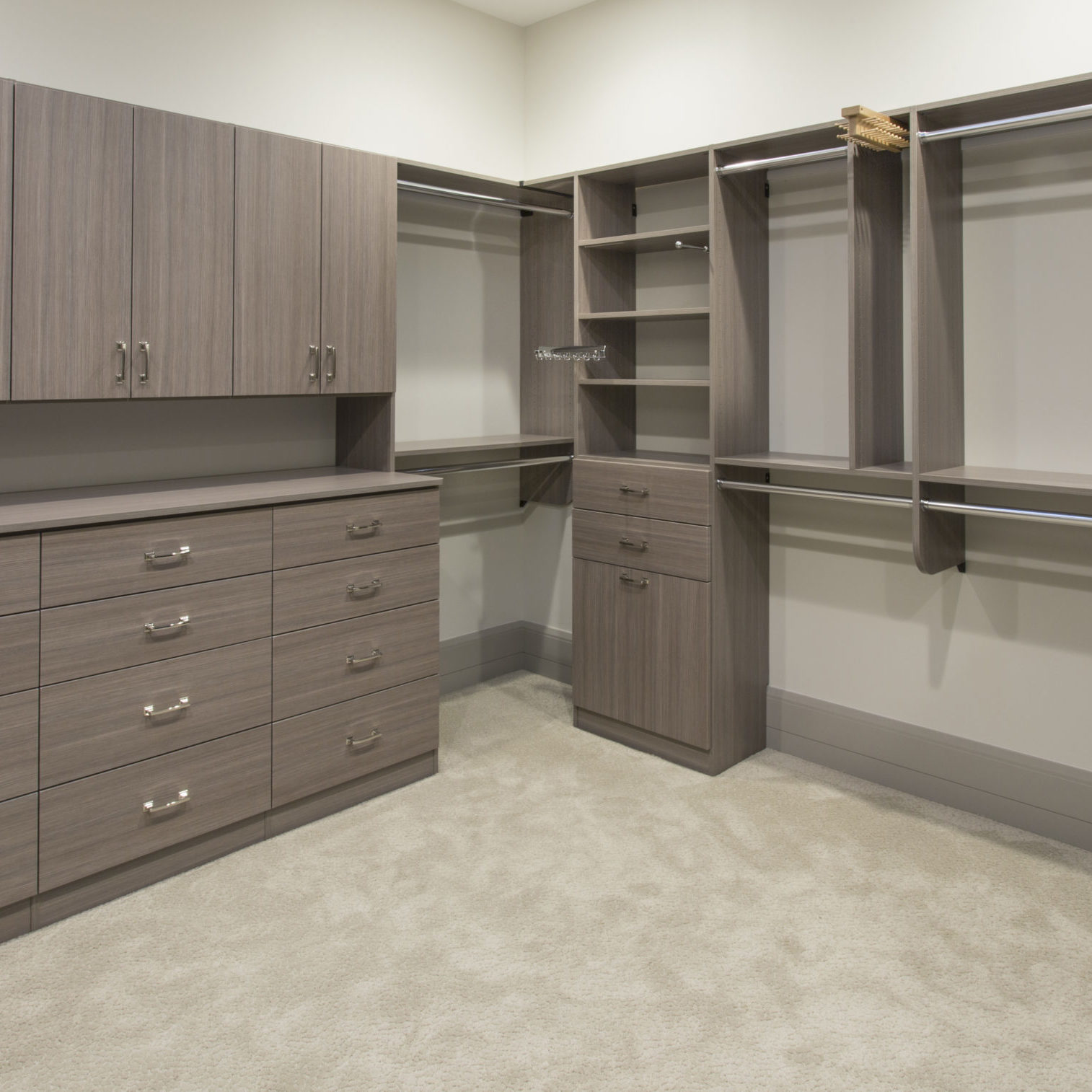 Aria Walk In Closet View 2