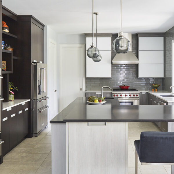 contemporary-white-cabinetry peninsula with glass front cabinetry