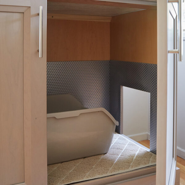 inside cat litter box cabinet
