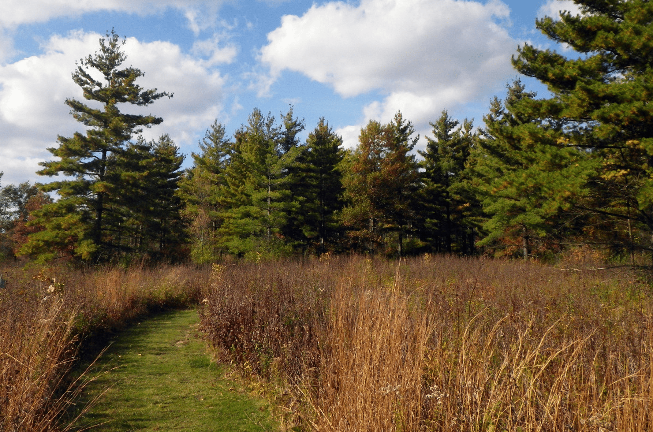 Preserve at Westleigh Photo in Fall
