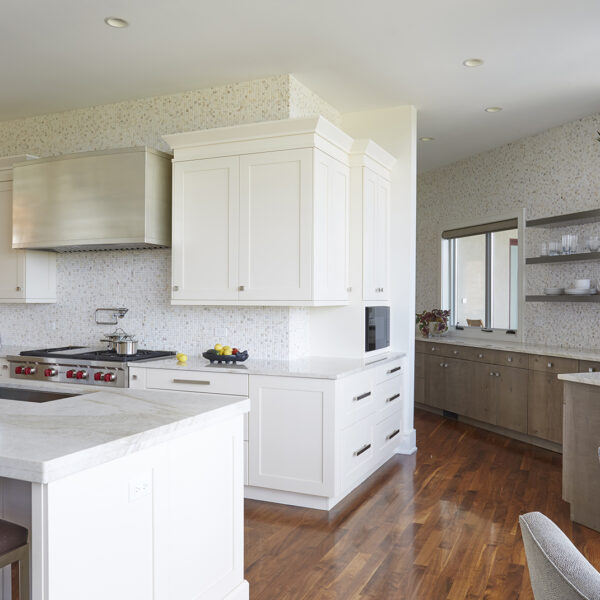 primary-and-scullery-kitchen view of scullery kitchen