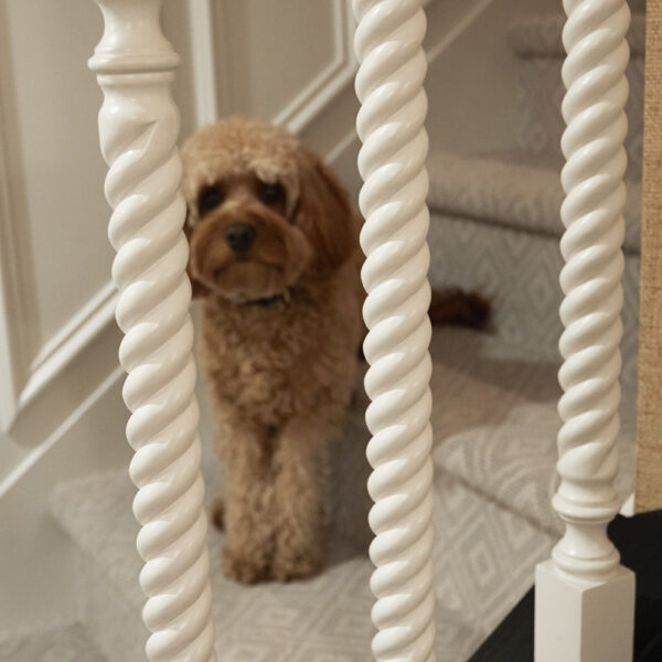 roped white carved balusters with cute dog on stair