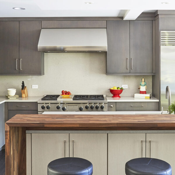 stainless steel range hood