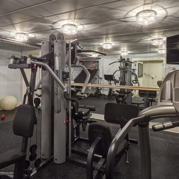 wilmette-home-gym wilmette illinois home gym